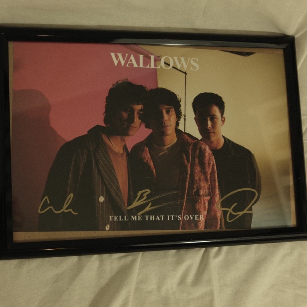 signed wallows tell me that it's over tour poster
